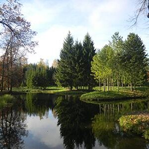 view of trees and water in Catherine Park