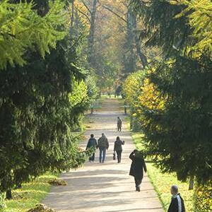 walk way in catherine park