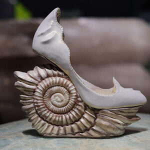 Sea shell design shoe
