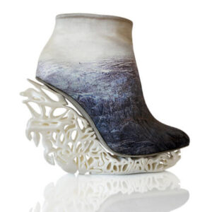 Shoe by Anastasia Radevich