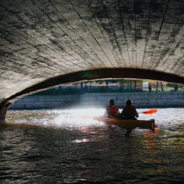 Best Kayak Tours in St. Petersburg